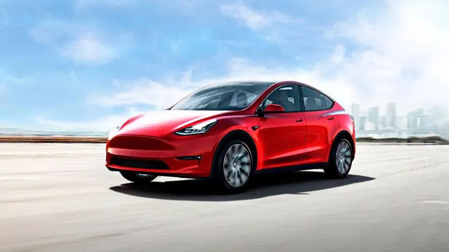 model Y